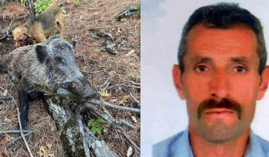 Domuz saldırısı sonucu hayatını kaybetti