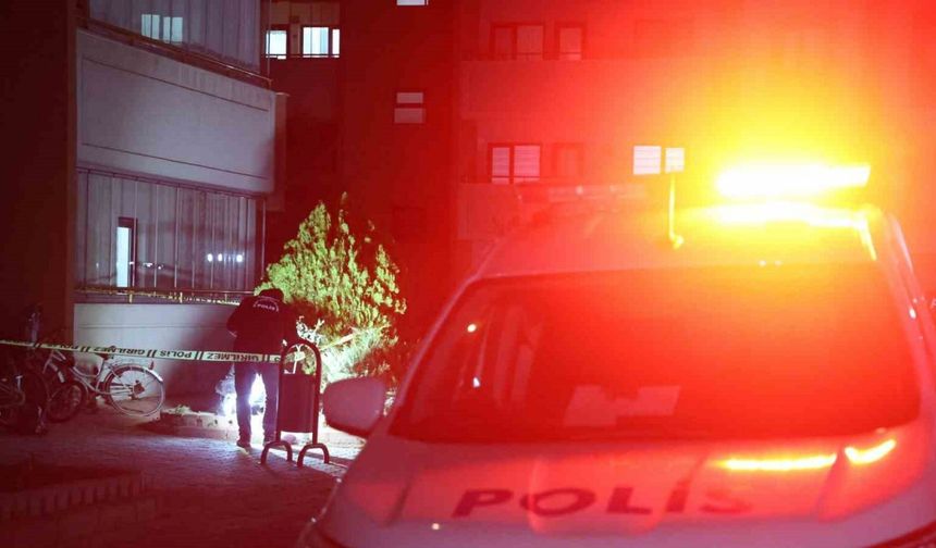 Karısını 22 bıçak darbesiyle öldüren zanlı, "Kolumda Ebru yazıyor" diye kendini savundu