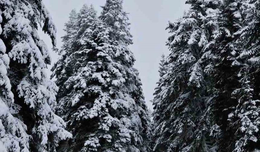 Meteorolojinin uyardığı Çankırı’da kar yağışı etkili oldu