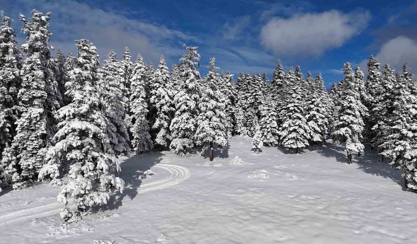 Sinop'tan kar manzaraları