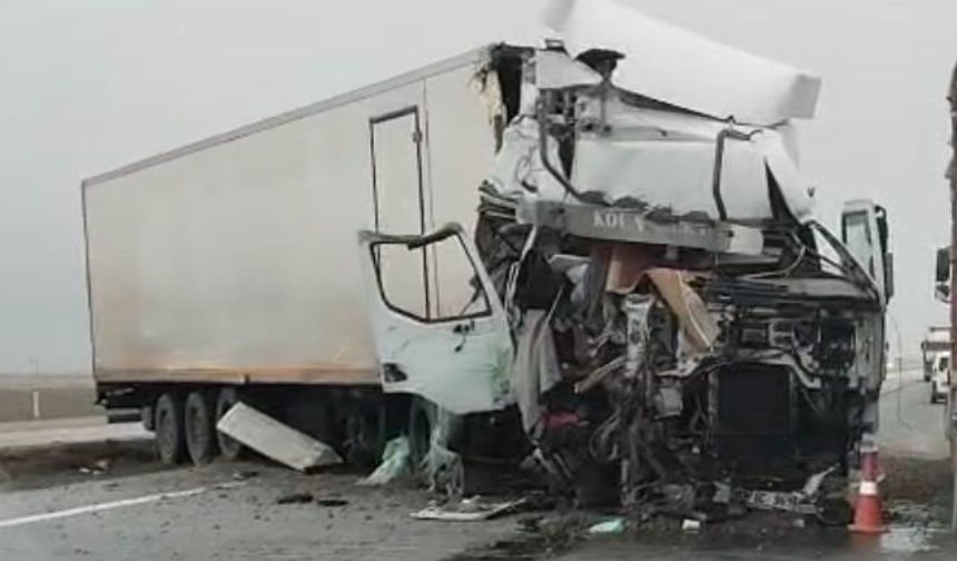 Tır yol kenarındaki tırın dorsesine çarptı: 1 yaralı