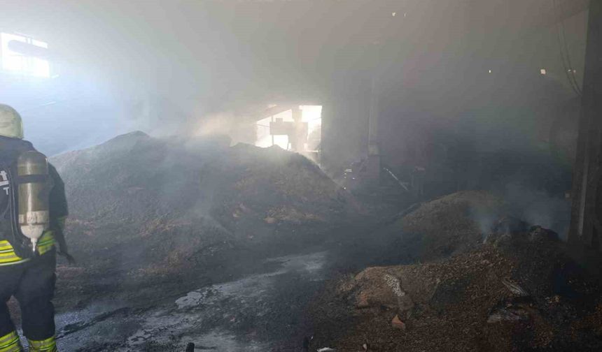 Vize'de palet fabrikasının deposunda yangın