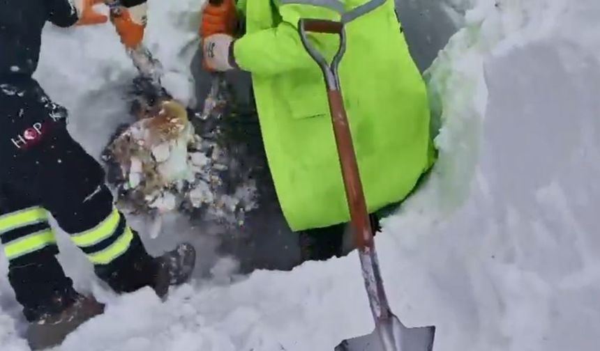 Artvin'de çığ bölgesinde arama kurtarma çalışmaları ikinci günde yeniden başladı