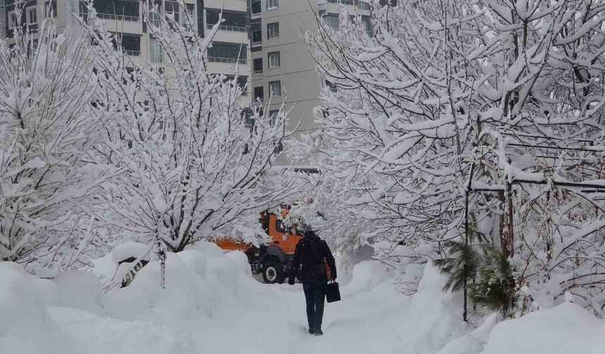 Bitlis'te kar yağışı yeniden etkili oldu