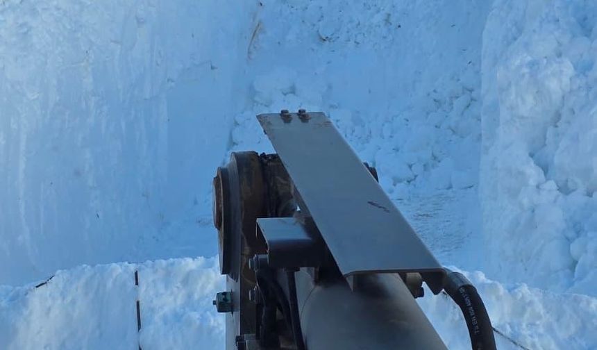 Bitlis'te köy yolları tek tek açılıyor