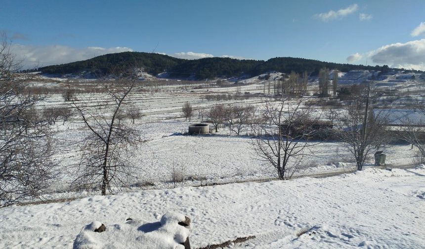 Buldan'da yılın ilk karı üreticileri sevindirdi