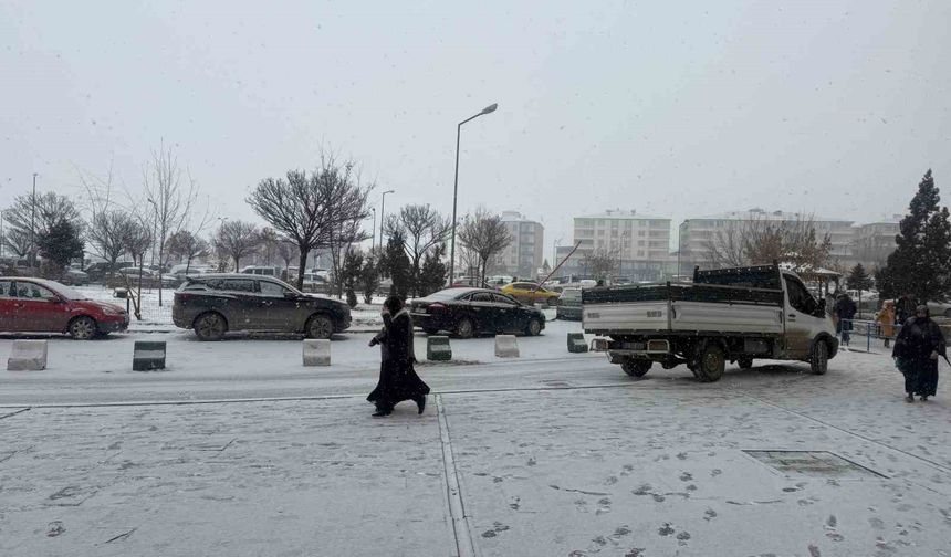 Iğdır'da kar yağışı yeniden başladı