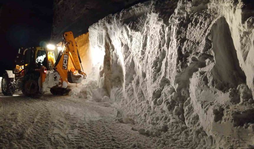 Meteorolojiden 4 il için çığ uyarısı