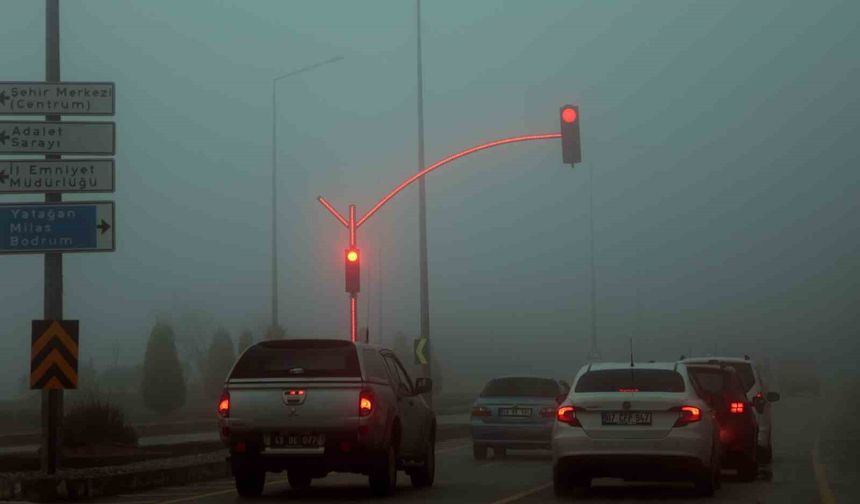 Muğla'da yağmur sonrası yoğun sis ulaşımı olumsuz etkiledi