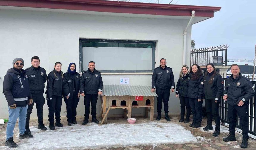 Sivrice polisinden üşüyen minik dostlarına kedi evi