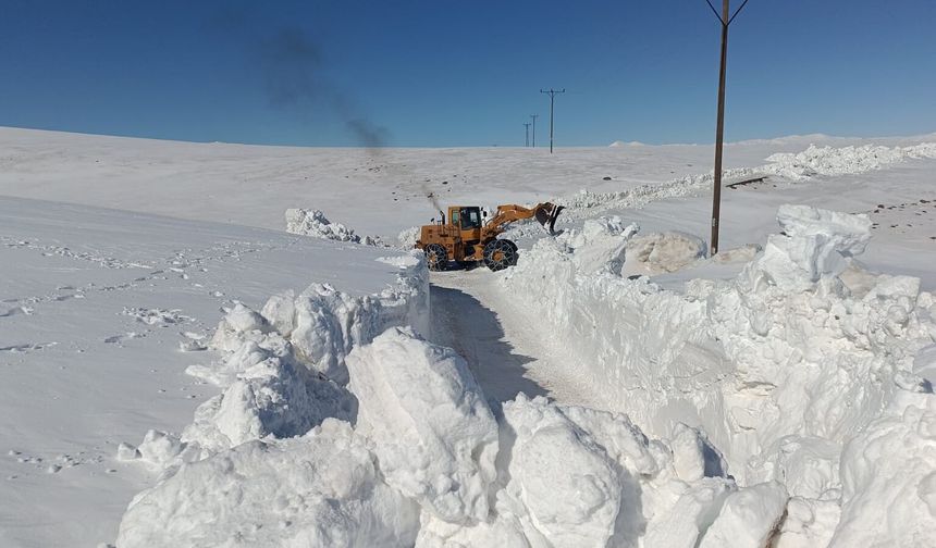 Bingöl Karlıova'da kardan kapanan mezra yolu ulaşıma açıldı