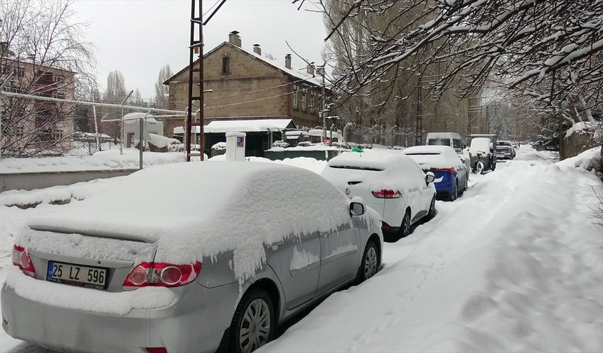 Kars, Ardahan, Tunceli ve Erzurum'da kar yağışı etkili oldu