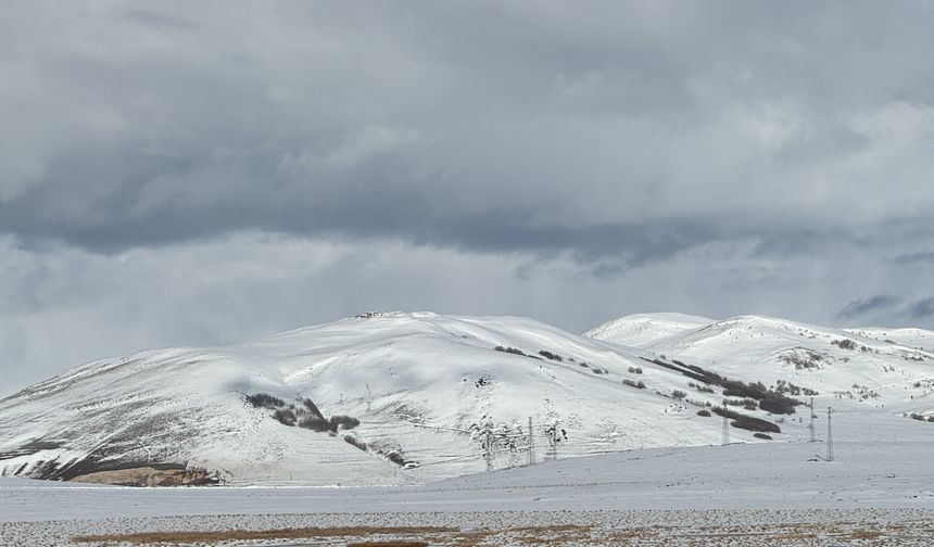 Kars ve Ardahan'da kar yağışı etkili oldu