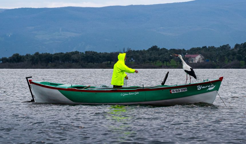 Yaren leylek göl manzaralı yuvasının bulunduğu Bursa'ya 15'inci yılında da geldi