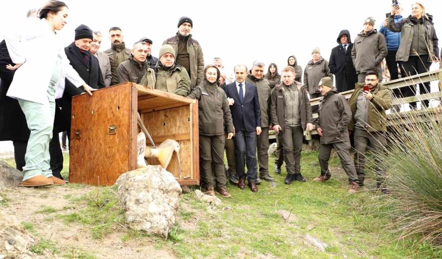 81 binden fazla göçmen kuş halkalandı