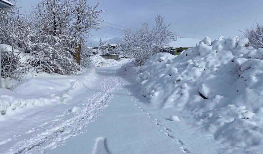 Karlıova'da kar yağışı etkisini sürdürüyor