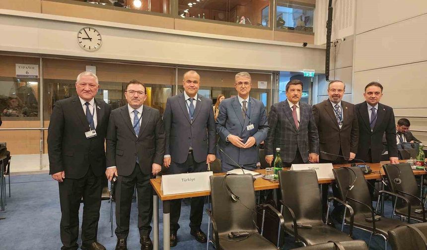 MHP'li Kamil Aydın, AGİTPA kış genel kurulu için Viyana'da