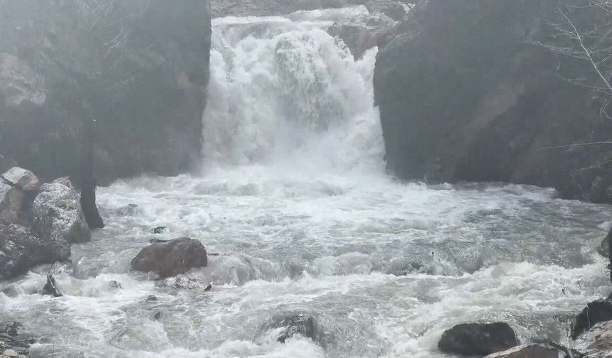 Osmaniye'de yağmurun bereketi Karaçay Vadisi'ni coşturdu