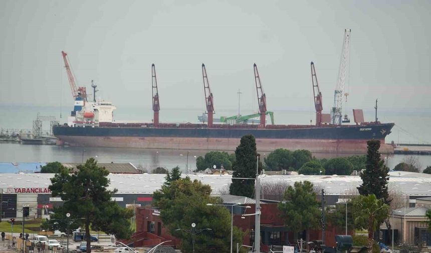 Samsun gümrüğünden en çok meyve ihraç edildi, motorin ithal edildi