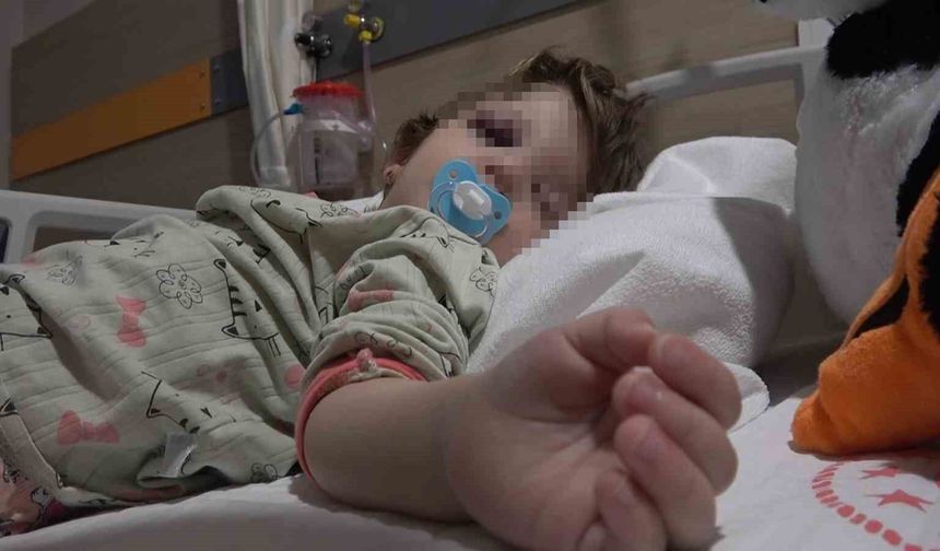 Yalova'da komşuların gürültü kavgasında 14 aylık bebek hastanelik oldu