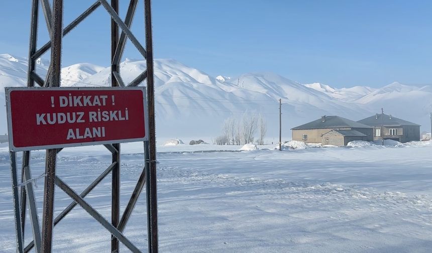 Yüksekova'da kuduz vakası