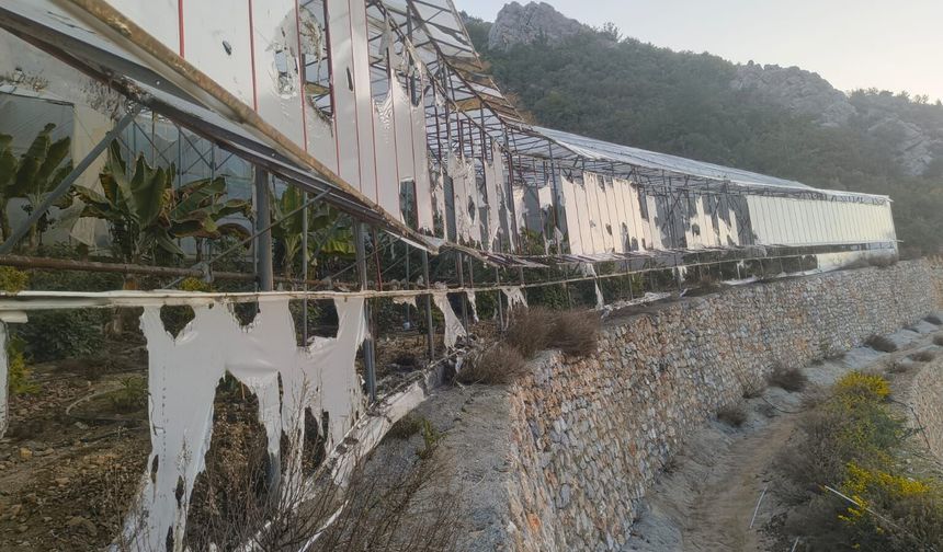 Alanya'da kundaklama iddiasıyla yakalanan 3 zanlı tutuklandı