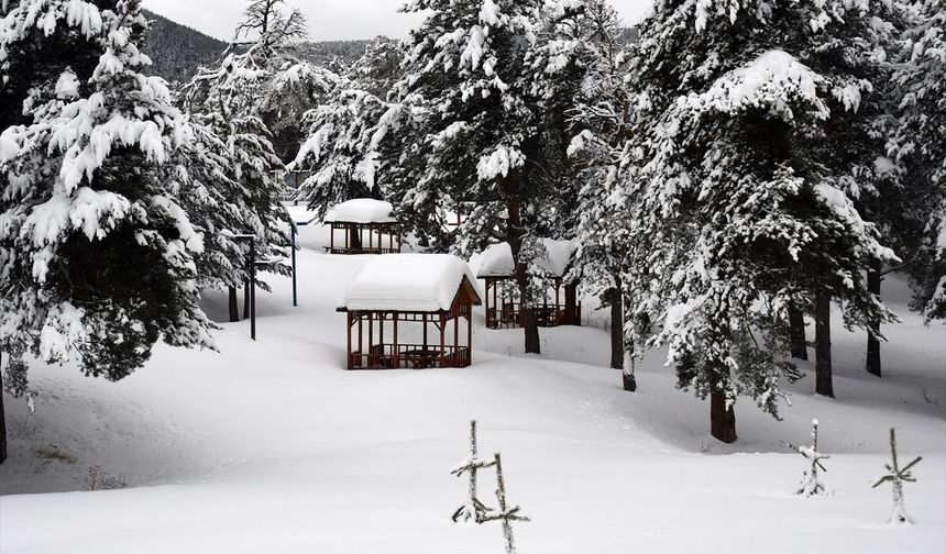 Ardahan ve Kars'ta kar yağışı etkili oldu