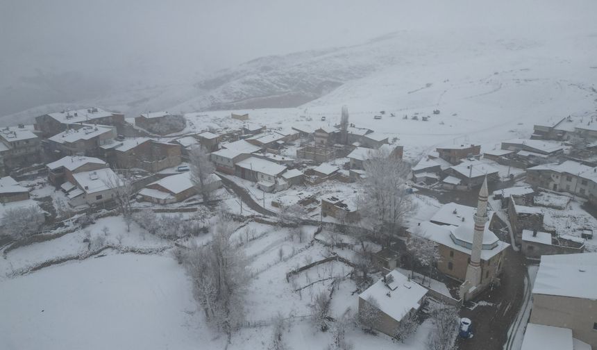 Bayburt ve Gümüşhane'de kar etkili oldu