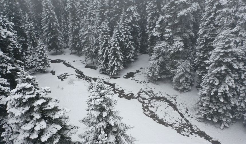Bolu'nun yüksek kesimlerinde kar yağışı etkisini sürdürüyor