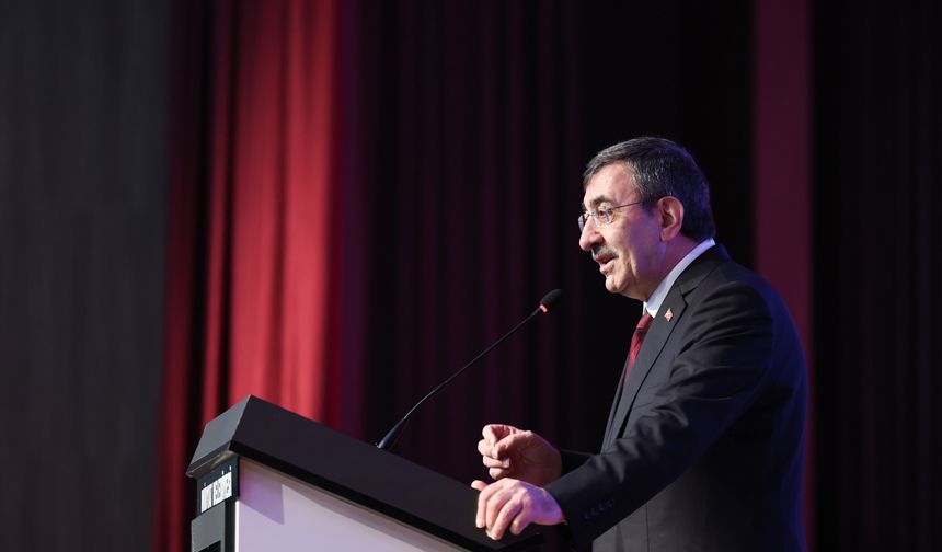 Cumhurbaşkanı Yardımcısı Yılmaz, Midyat'ta 'Toplu Açılış Töreni'nde konuştu: