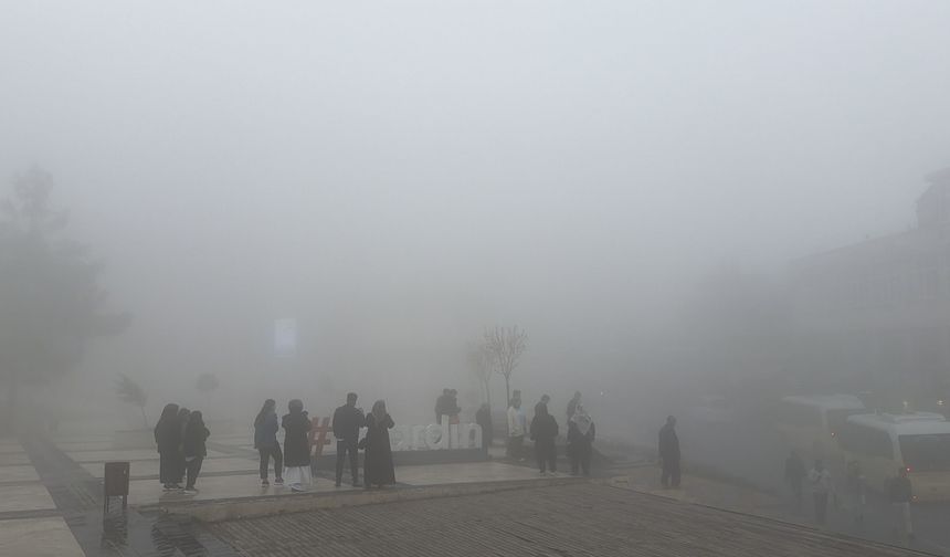 Mardin'de sis etkili oldu