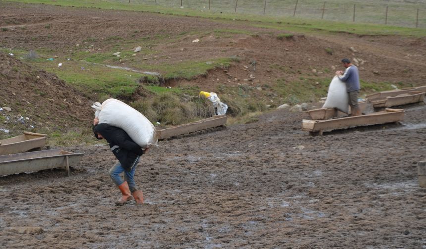 Muş'ta besicilerin kış mesaisi sürüyor
