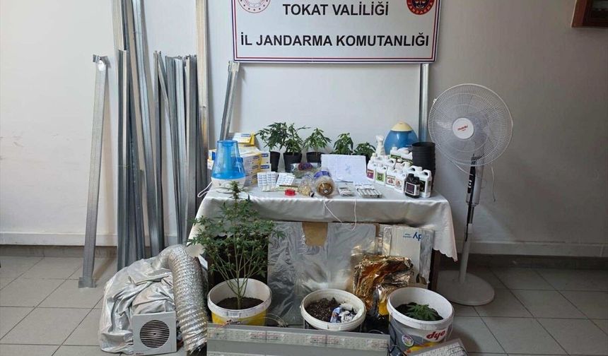 Tokat'ta apartman dairesinde kurulan serada kenevir yetiştiren zanlı tutuklandı