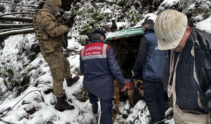 Zonguldak'ta ruhsatsız işletilen 10 maden ocağı imha edildi