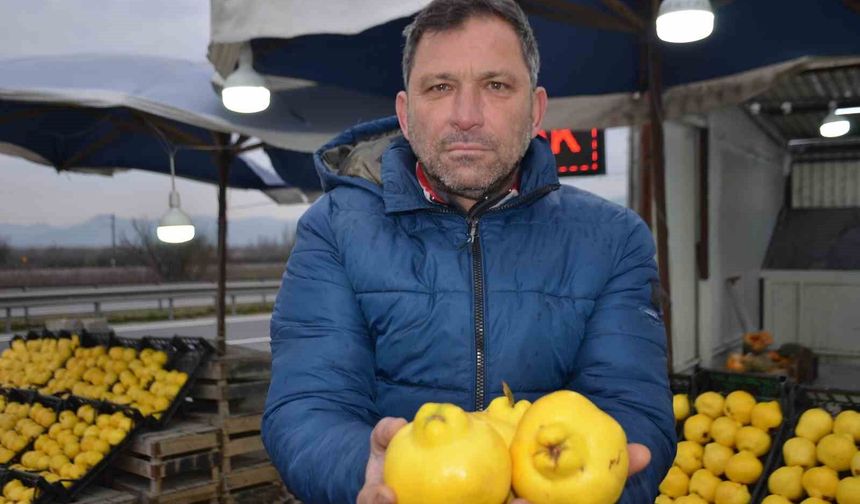 Ayvayı bu sene ayaz vurdu, fiyatlar fırladı