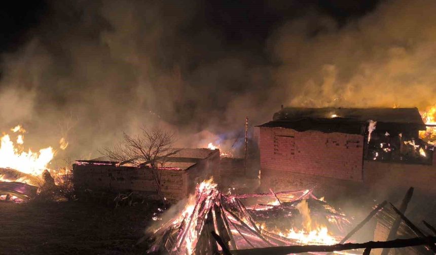 Bolu'da çıkan yangında çok sayıda yapı küle döndü