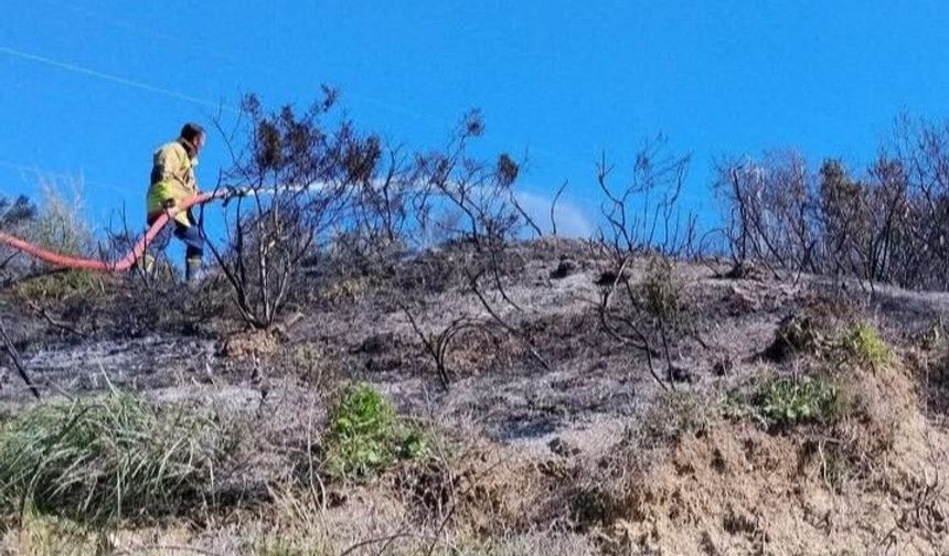 Defne'de çıkan bahçe yangınından alevler yükseldi