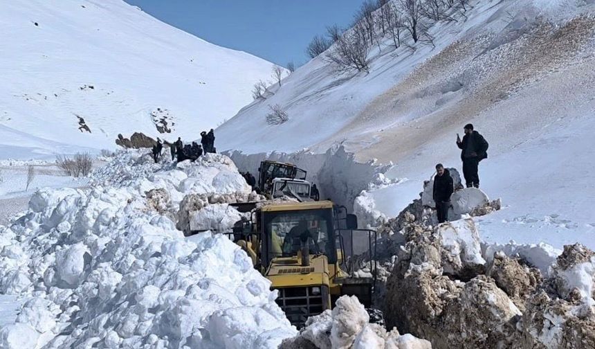 Kar kalınlığı 3 metreyi aşmıştı: Tunceli'de kapalı köy yolu kalmadı