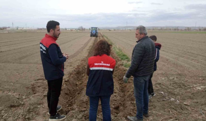 Patates ekimi sezonu başladı