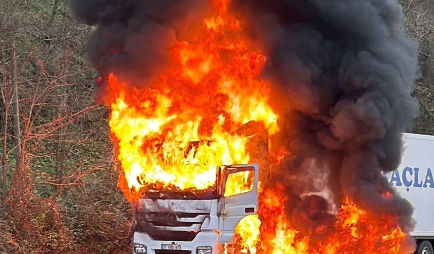 Rize'de arızalanan tır alev alev yandı