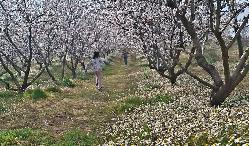 Sarıgöl'de kartpostallık manzara