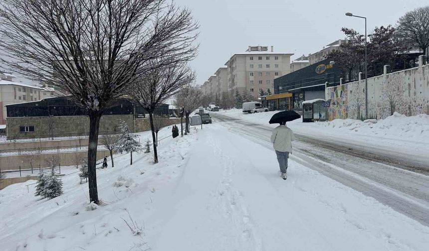 Van'da mart ayı kapıdan baktırdı: Kar yağışı ulaşımı durdurdu