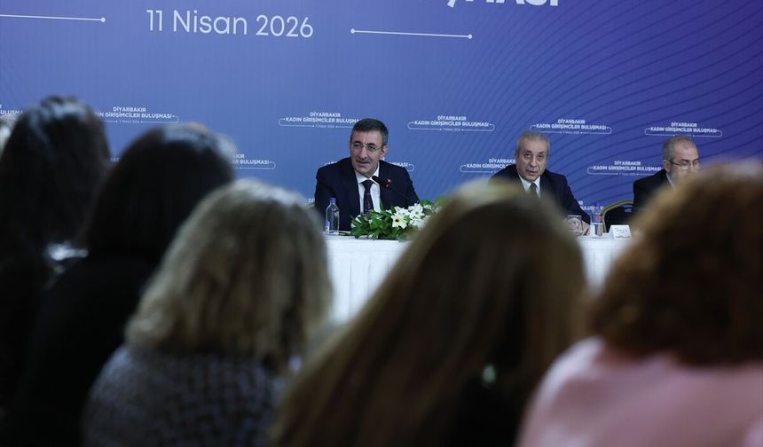 Cumhurbaşkanı Yardımcısı Yılmaz, Diyarbakır'da Kalkınma Vizyonu Çalıştayı'nda konuştu