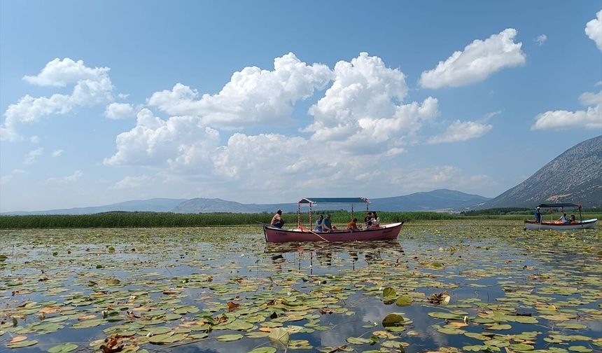 Işıklı Gölü'nde nilüfer çiçeği turları 1 Mayıs'ta başlayacak