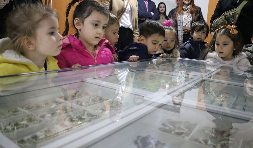 Isparta'da 30 bin örnekli böcek koleksiyonu bilimsel çalışmalara katkı sağlıyor