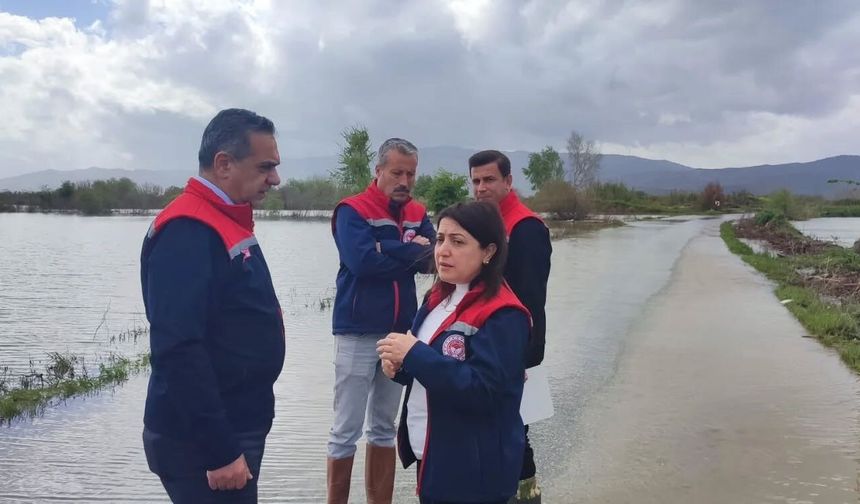 Aydın'da sular altında kalan arazilerde kesin zarar tespiti yapıldı