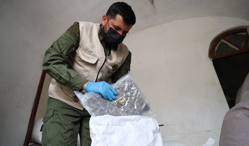 Türkiye ve Suriye'den ortak uyuşturucu operasyonu