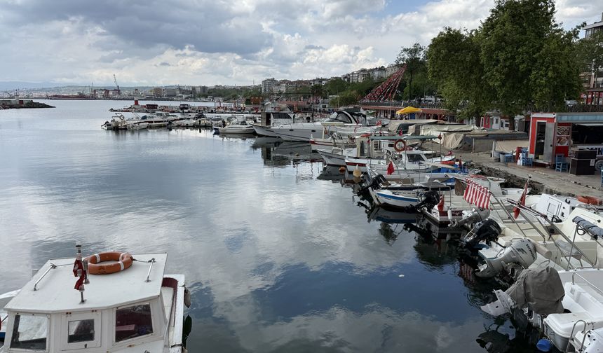 Tekirdağ'da küçük teknelerle avlanan istavrit tezgahların gözdesi