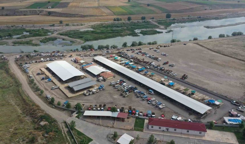 Erbaa hayvan pazarı yeniden açılıyor