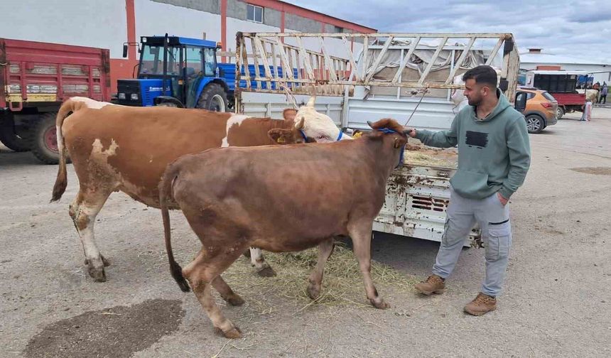 Erzurum'da kurban pazarı hareketlendi